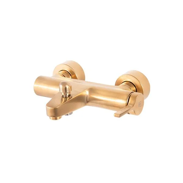 شیر حمام آوا2